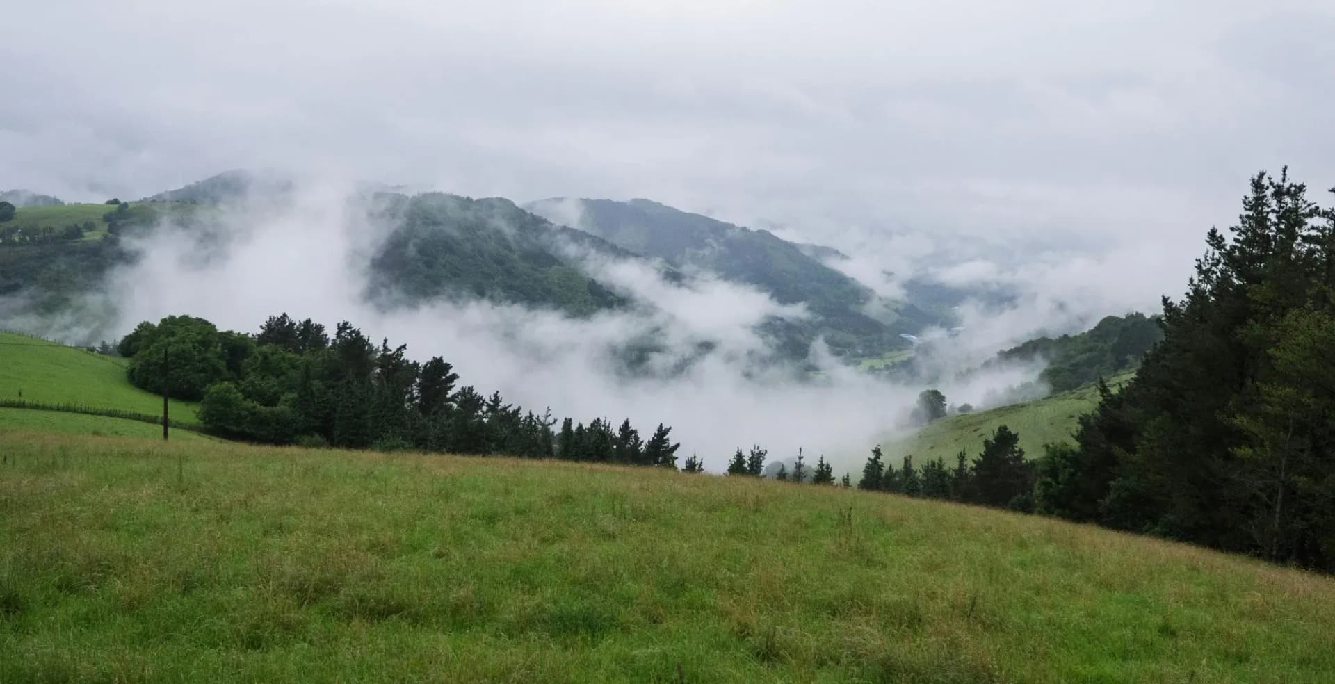Valle verde con niebla entre montañas paisaje natural en zona rural
