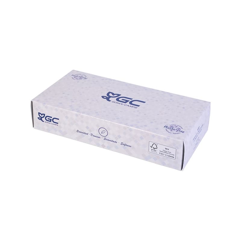 Estuche pañuelo facial Tissu cajita 100 unidades